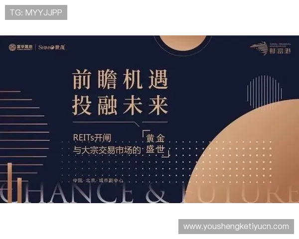 盛世国际：多元化的投资产品满足不同客户需求，开启财富增长新篇章