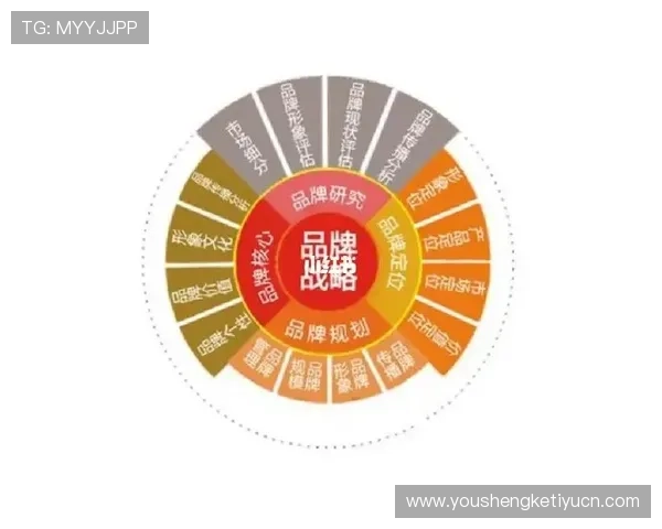 飞驰国际品牌影响力与消费者信任度的提升策略
